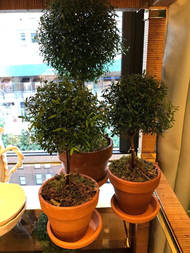 dodie-thayer-lettuceware-tory-burch-habituallychic-004