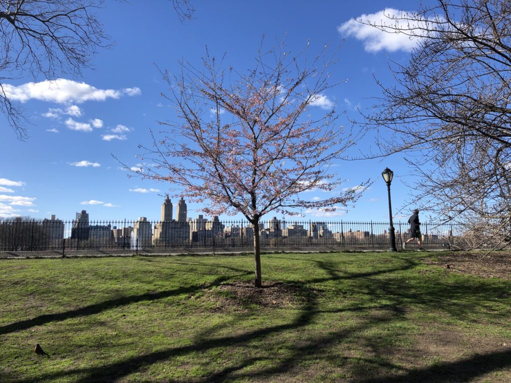 Habitually Chic® » Spring in Central Park